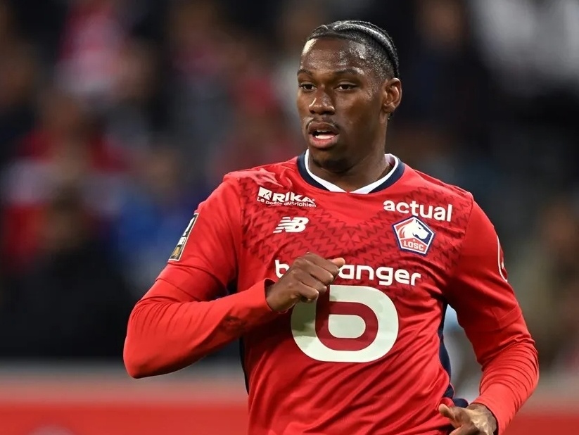 这种灵活的 这种灵活的